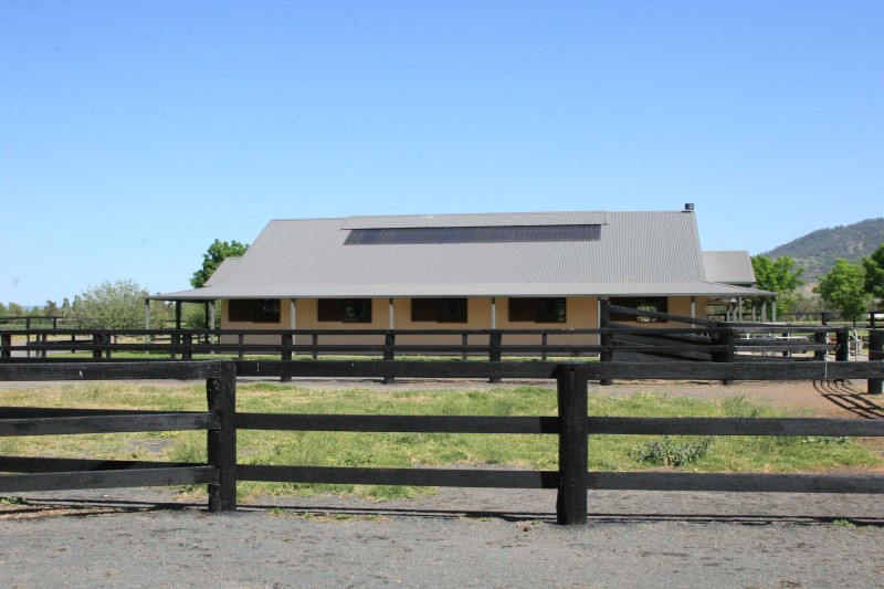 Arrowfield Stud - 010.JPG